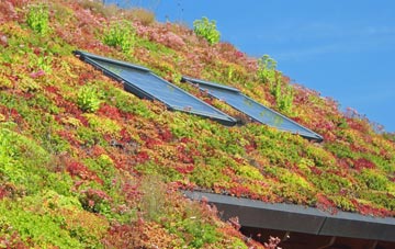 Towthorpe living roof systems